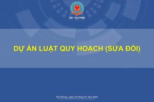 bao-cao-du-an-luat-quy-hoach-2025